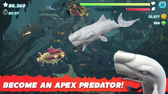 Hungry shark evolution 4 - Cá mập săn lùng đại dương