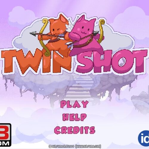 Review Game Y8 Bắn Súng – Twin Shot – 2play – 2 người chơi – Cung thủ sinh đôi