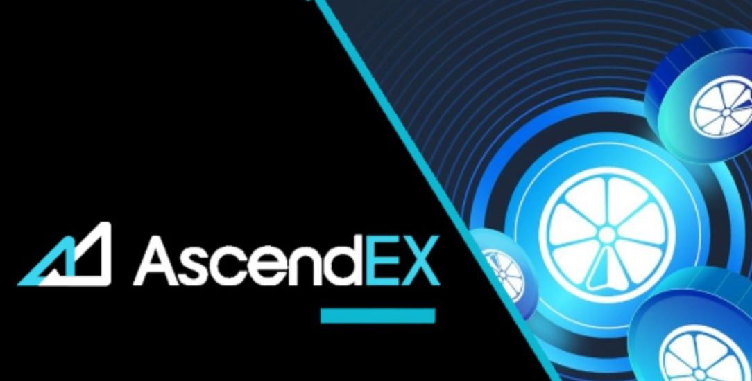 Ví AscendEX là gì? Cách sử dụng Ví AscendEX đúng cách