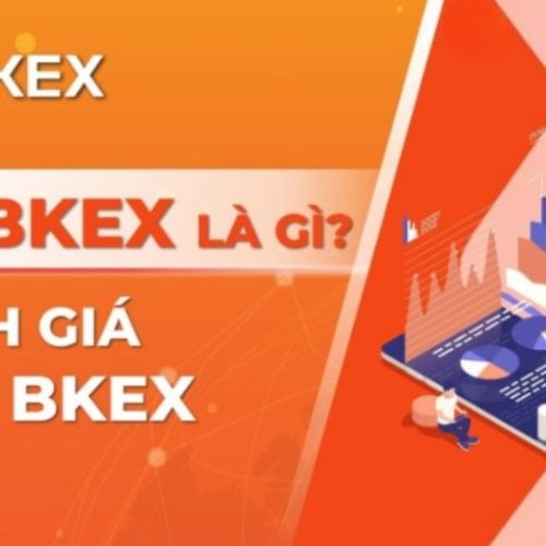 Ví Bkex là gì? Cách sử dụng Ví Bkex đúng cách