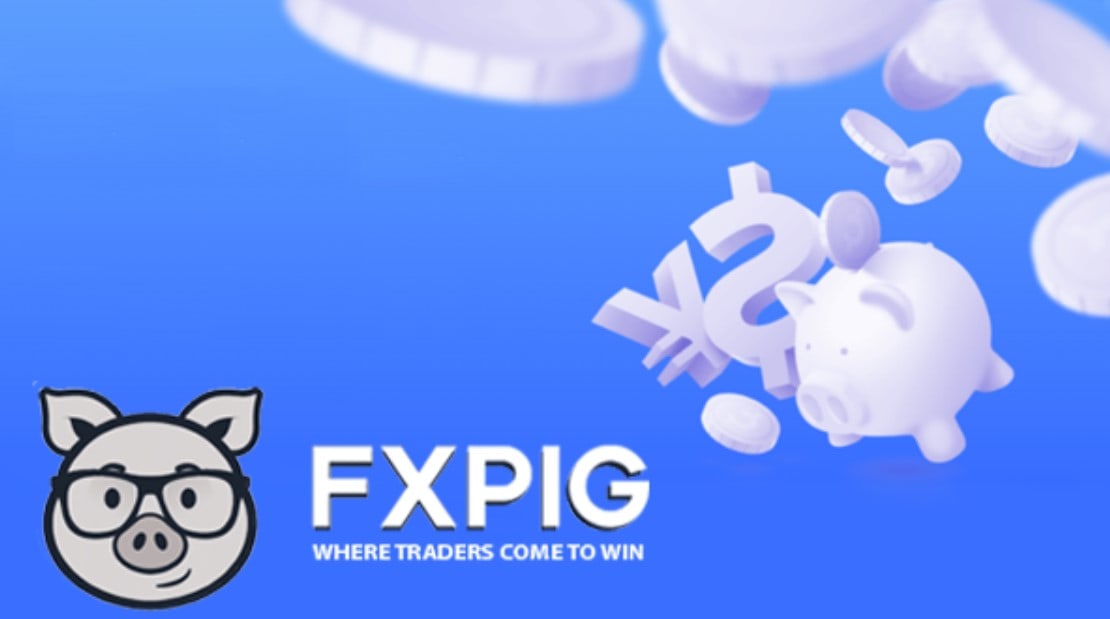 fxpig crypto