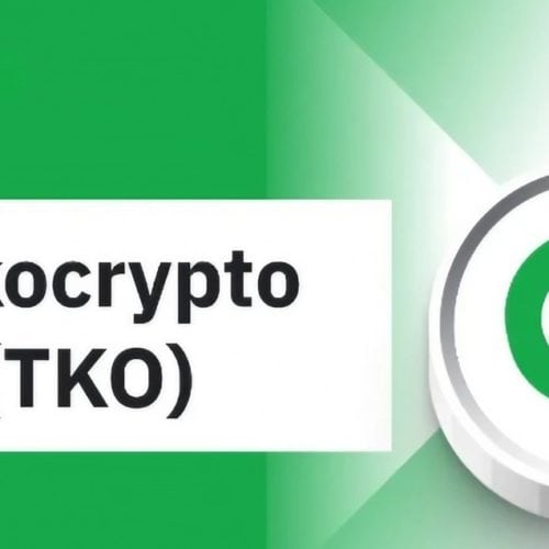 Ví Tokocrypto là gì? Cách sử dụng Ví Tokocrypto đúng cách